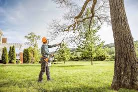 Leaf Removal