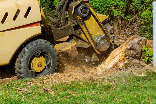 Landscape Design and Installation in Kearns, UT